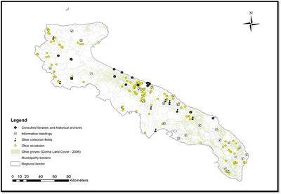 Re.Ger.O.P.: An Integrated Project for the Recovery of Ancient and Rare Olive Germplasm